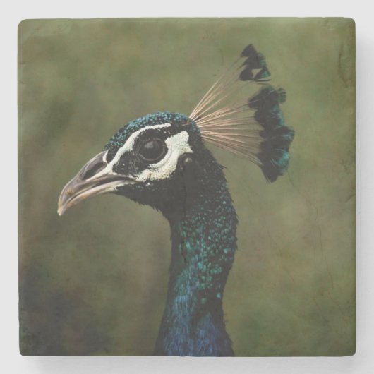 Profiel van Peacock Stenen Onderzetter (Voorkant)