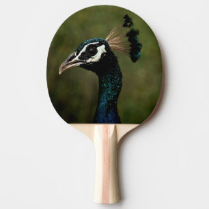 Profiel van Peacock Tafeltennisbatje