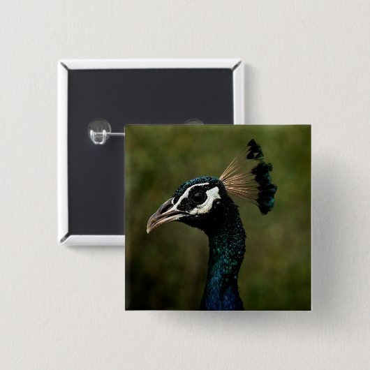 Profiel van Peacock Vierkante Button 5,1 Cm (Voorkant /achterkant)