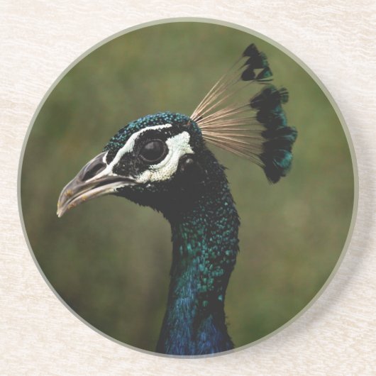 Profiel van Peacock Zandsteen Onderzetter (Voorkant)