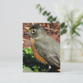 Profiel van Robin Briefkaart (Staand voorkant)