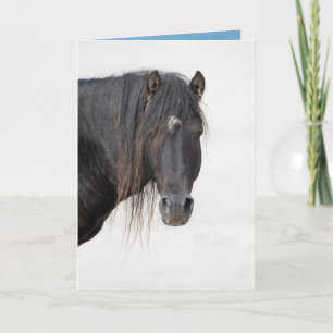 Profiel van Sable Island Stallion - Wenskaart Bedankkaart