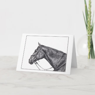 Profiel van Sullivan Kaart