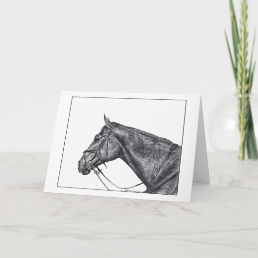 Profiel van Sullivan Kaart (Voorkant)