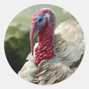 Profiel van Turkije Ronde Sticker