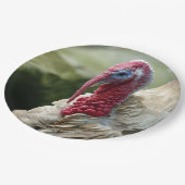 Profiel van Turkije: wit hoofd Foto Papieren Bordje (Gekanteld)