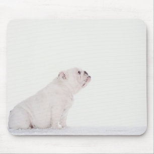 Profiel van White Bulldog Muismat