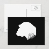 Profiel van witte chimpansee briefkaart (Voorkant / Achterkant)