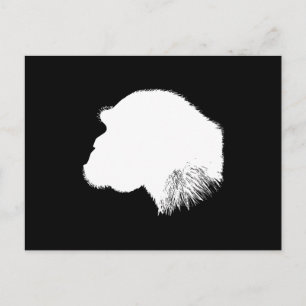Profiel van witte chimpansee briefkaart