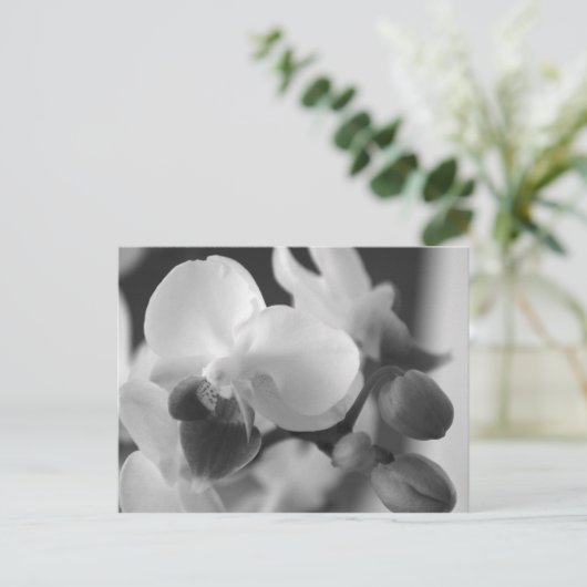 Profielen 10:12 Orchid Postcard Briefkaart (Staand voorkant)