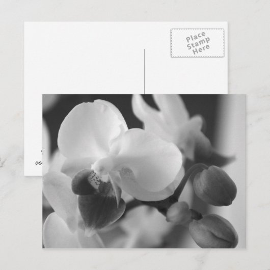 Profielen 10:12 Orchid Postcard Briefkaart (Voorkant / Achterkant)
