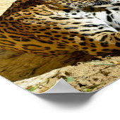 Profielportret van de sluiting van Jaguar op de gr Poster (Hoek)