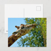 Profielportret van giraffe die blad eet feestdagenkaart (Voorkant / Achterkant)
