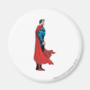 ProfielUitzicht Magneet