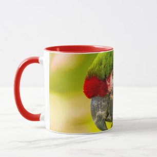 Profile of macaw at Santa Barbara Zoo Mok