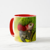 Profile of macaw at Santa Barbara Zoo Mok (Voorkant links)