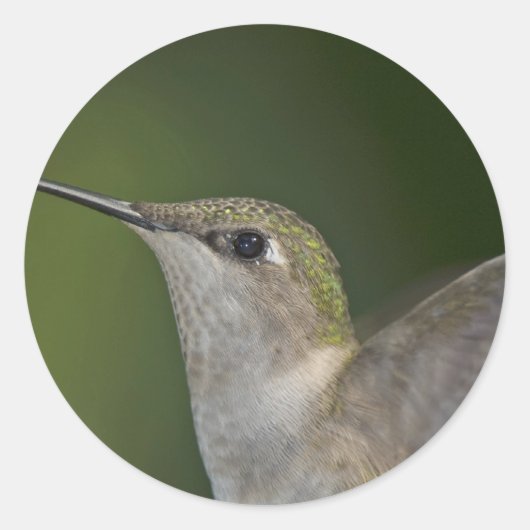 Profile Ronde Sticker (Voorkant)