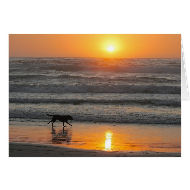 Profiteer optimaal van uw dag (Voorkant Horizontaal)