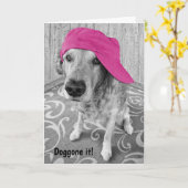 Profiteer snel van de allernieuwste kaart (Gele Bloem)