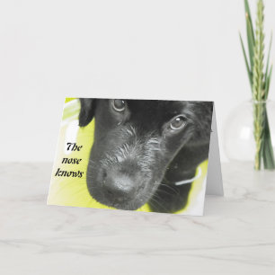 Profiteer snel van een Wenskaart met pop-upbericht Kaart