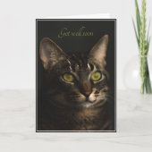 Profiteer van het kattengevulde Wenskaart Kaart (Voorkant)