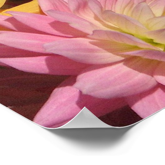 Profusie van Dahlias Poster (Hoek)