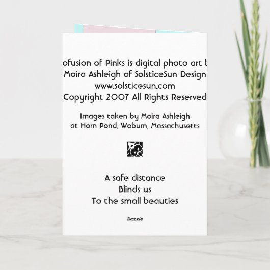 Profusie van Pinks Kaart (Achterkant)