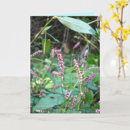 Profusie van Pinks Kaart (Gele Bloem)