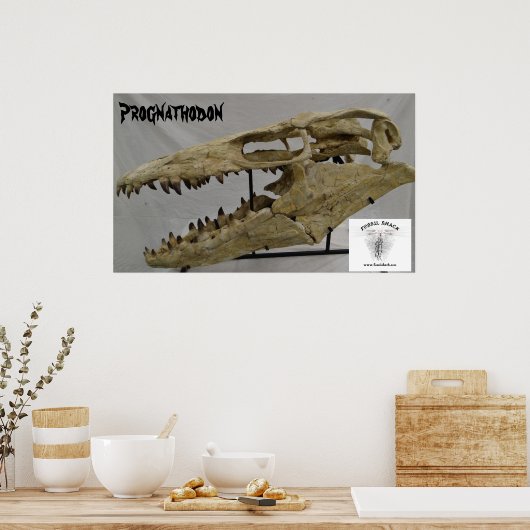 Prognathodon Mosasaur Poster (Keuken)