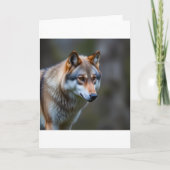 Programma (Voorkant)