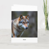 Programma (Achterkant)