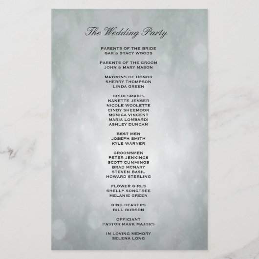 Programma | Bokeh Silver (Achterkant)