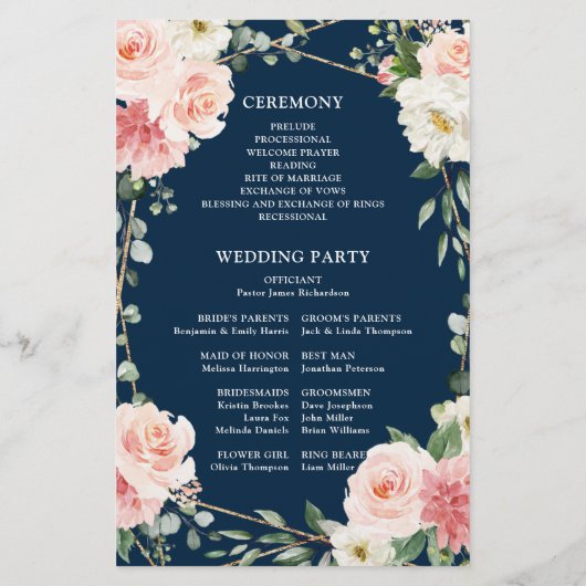 programma voor geodensie van de zeemacht van Blush (Achterkant)