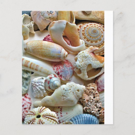 programma voor het huwelijk tussen kleine partijen (Achterkant)