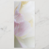 Programma voor roze en witte tulpen voor het uittr programmakaart (Achterkant)