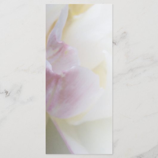 Programma voor roze en witte tulpen voor het uittr programmakaart (Achterkant)