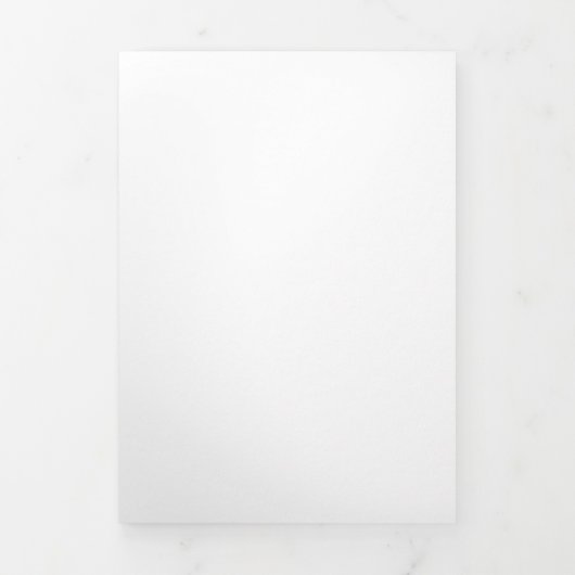 Programma's (Cover)