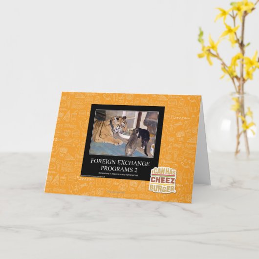 Programma's 2 van Deviezen (Gele Bloem)