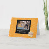 Programma's 2 van Deviezen (Voorkant)