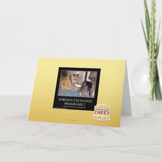 Programma's 2 van Deviezen (Voorkant)