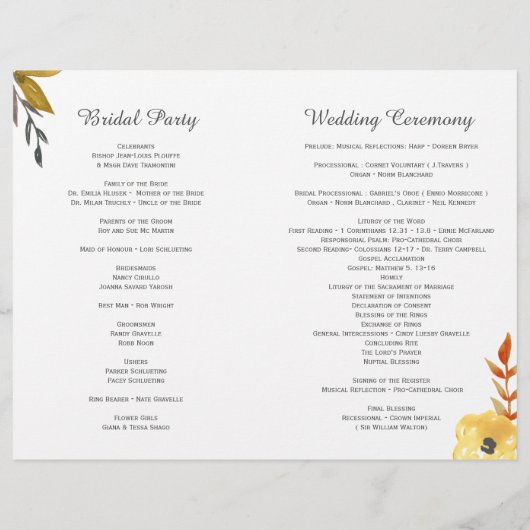 Programma's voor waterverf-weduwen (Achterkant)