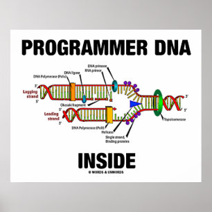 ProgrammeerDNA Inside (DNA-replicatie) Poster