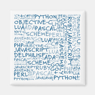 Programmeraars hebben meerdere programmeervaardigh magneet