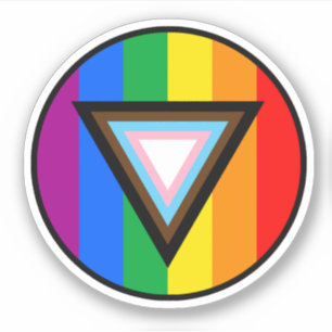 Progress Pride Driehoek Cirkel Sticker