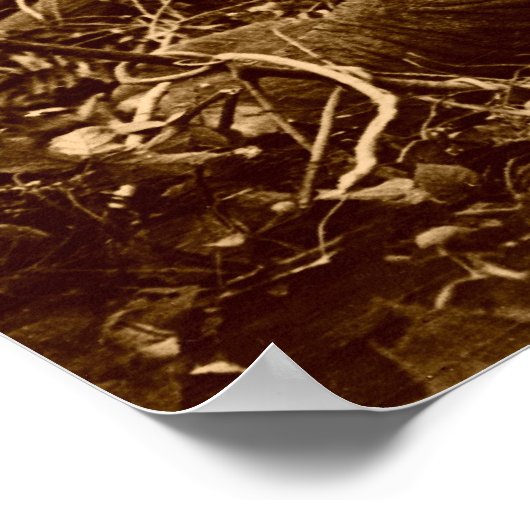 progressieven poster (Hoek)