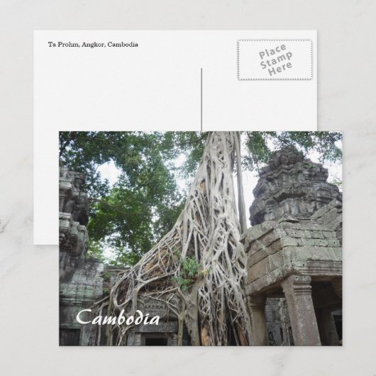 prohm wortels briefkaart (Voorkant / Achterkant)