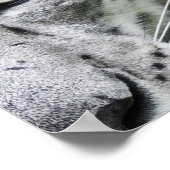 Project Avalon Poster (Donker) (Hoek)