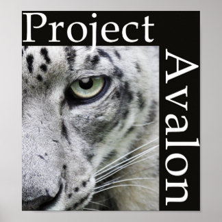 Project Avalon Poster (Donker)