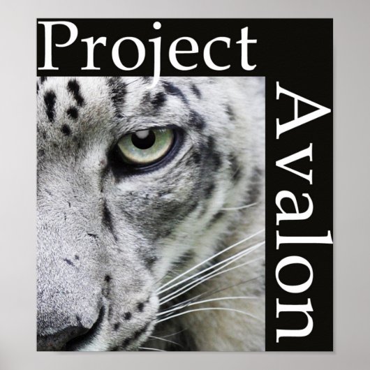 Project Avalon Poster (Donker) (Voorkant)