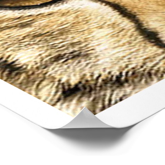 Project Camelot Logo Poster (Hoek)